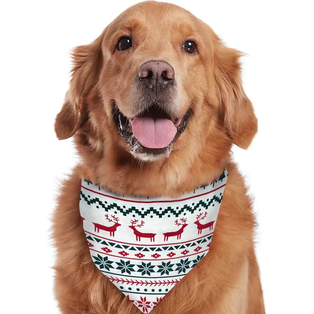 Family wearing matching Fair Isle Christmas pajamas with reindeer and snowflake print - view 6