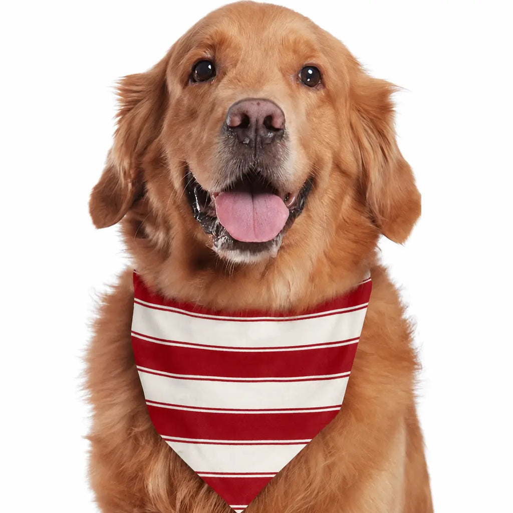 Family wearing matching red and white striped Christmas pajamas with gray trim - view 12