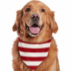 Family wearing matching red and white striped Christmas pajamas with gray trim - view 12